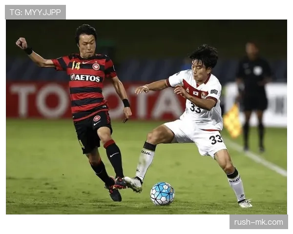 阿斯帕斯战术适配性